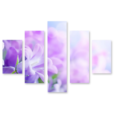 Модульная картина на холсте "Утренняя глория" 150x92 см Modulka.Ru