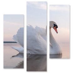 Модульная картина на холсте "Одинокий лебедь" 150x143 см Modulka.Ru