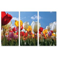 Модульная картина на холсте "Тюльпаны" 170x111 см Modulka.Ru