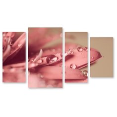 Модульная картина на холсте "Цветок в росе" 120x69 см Modulka.Ru
