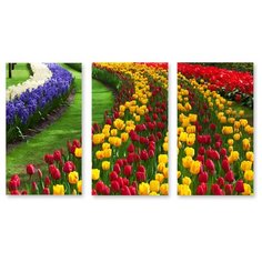 Модульная картина на холсте "Цветочная композиция" 150x87 см Modulka.Ru