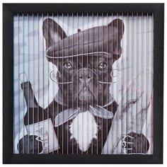 KARE Design Картина в рамке Bulldog, коллекция "Бульдог", ручная работа 43*43*4, Бумага, Стекло, Полистирол, МДФ, Черный, Белый