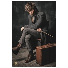 Постер Fantastic Beasts: The Crimes Of Grindelwald – Newt Scamander Pyramid International