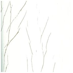 Обои Marburg 63352, Винил на флизелине 75 см