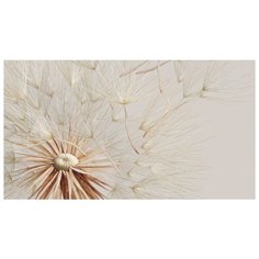 Супермоющиеся антивандальные фотообои Антимаркер, Свежий ветер, 2-A-2027, 270х150 см