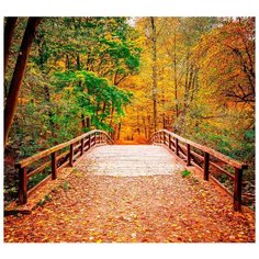 Супермоющиеся антивандальные фотообои Антимаркер, "Мост в осенний парк", 6-А-606, 300х270 см