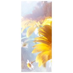 Самоклеящиеся фотообои Doorfix, D029, 95х220см