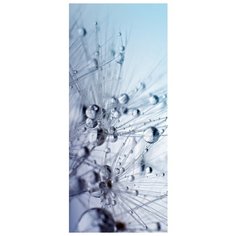 Самоклеящиеся фотообои Doorfix, D039, 95х220см