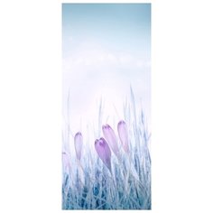 Самоклеящиеся фотообои Doorfix, D044, 95х220см