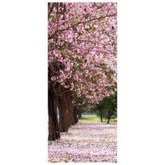 Самоклеящиеся фотообои Doorfix, D043, 95х220см