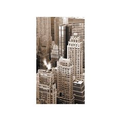 Супермоющиеся антивандальные фотообои Антимаркер, 1-A-121, 150х270 см