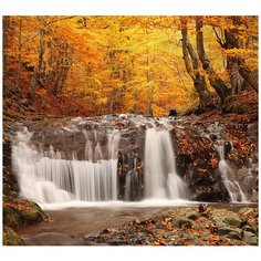 Фотообои/C коллекция Фотообои/C коллекцияОсенний лес 300х270 см Divino