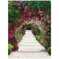 Фотообои/B коллекция Фотообои/B коллекцияЦветочная арка 2 200х270 см Divino