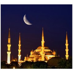 Фотообои/C коллекция Фотообои/C коллекцияГолубая мечеть под луной 300х270 см Divino