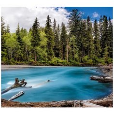 Фотообои/C коллекция Фотообои/C коллекцияЛесное озеро 300х270 см Divino