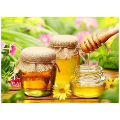 Фотообои/C коллекция Фотообои/C коллекцияБаночки меда 200х147-2 см Divino