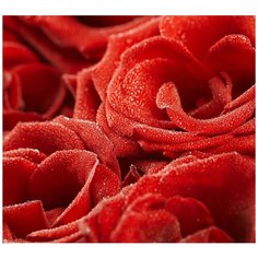 Фотообои/E коллекция Фотообои/E коллекцияРоса на розах 300х270 см Divino