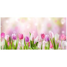 Фотообои/D коллекция Фотообои/D коллекцияТюльпаны 300х147-2 см Divino