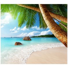 Фотообои/C коллекция Фотообои/C коллекцияПод пальмами 300х270 см Divino