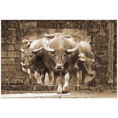 Фотообои/D коллекция Фотообои/D коллекцияБуйволы 3D 400х270 см Divino