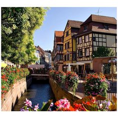 Фотообои/B коллекция Фотообои/B коллекцияЦветочный канал 300х270 см Divino