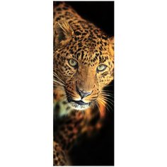 Фотообои/A коллекция Фотообои/A коллекцияЛеопард 100х270 см Divino