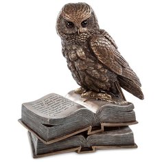 WS- 86/ 1 Статуэтка Сова на книгах Veronese