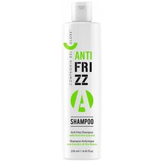 Compagnia Del Colore шампунь Antifrizz против эффекта пушистых волос, 250 мл