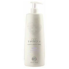 Trinity шампунь Essentials Blonde Silver Reflex оттеночный, серебряный, 1 л