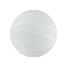 Настенно-потолочный светодиодный светильник Sonex Erica 2090/DL Сонекс