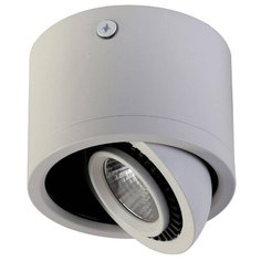 Потолочный светодиодный светильник Favourite Reflector 1774-1C