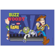 Ковер коллекции «Disney V» TOY STORY-812 160 х 230 см 47921 . Kover.Ru