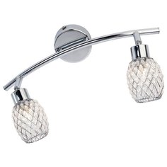 Спот Lussole (серия: LSP-0123) LSP-0123 2x40Вт G9