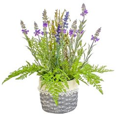 Лаванда и папоротник в керамическом кашпо Rustic Gerard de ros