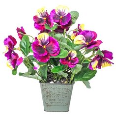 Анютины глазки в металлическом кашпо, цвет: глубокий фиолетовый Gerard de ros