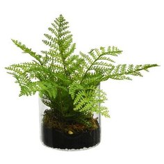 Элитное искусственное растение ПАПОРОТНИК в стеклянном кашпо, пластик, 25x21 см, Kaemingk 801093-3