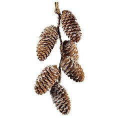 Гирлянда-подвеска ЕЛОВЫЕ ШИШКИ с ледяной крошкой, подвеска, 20 см, Kaemingk 724506