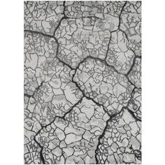 Ковер коллекции «Divine» DIV01-CHAR 236 х 297 см 55342 . Kover.Ru