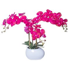 Орхидея фаленопис 3 ветки в керамическом кашпо Gerard de ros