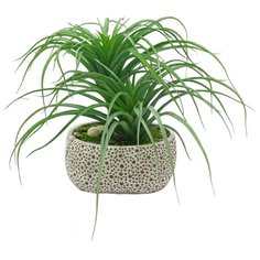 Тилландсия в кашпо "Этно" Gerard de ros