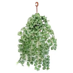 Свисающие кусты в подвесном кашпо Holodilova