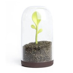 Контейнер для сыпучих продуктов Sprout Jar Qualy