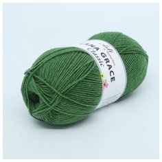 Пряжа для вязания ТРО LANA GRACE Classic (25% мериносовая шерсть, 75% акрил супер софт) 5х100г/300м цв.8101 меланж (аспарагус) Троицкая камвольная фабрика