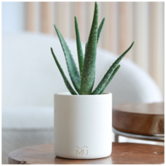 Кашпо / горшок для цветов Ernest, 14x12x11, экобетон, слоновая кость Musko