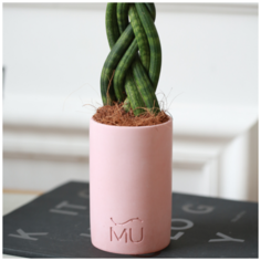 Кашпо для суккулентов Leo, 11x7x5, экобетон, розовое Musko