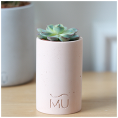 Кашпо для суккулентов Leo, 11x7x5, экобетон, бежевое Musko