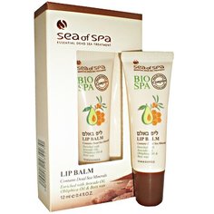 BIO SPA Бальзам для губ с активными компонентами Мертвого моря