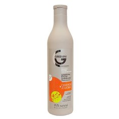 Гринини Шампунь-бустер Orange&Jojoba Объем и баланс 200мл Greenini