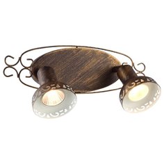 Спот FOCUS A5219AP-2BR Arte Lamp
