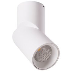 Спот ORIONE A7717PL-1WH Arte Lamp